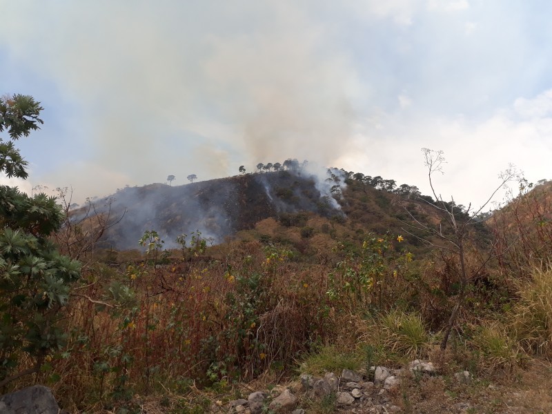 Atiende CONAFOR incendio en cerro San Juan