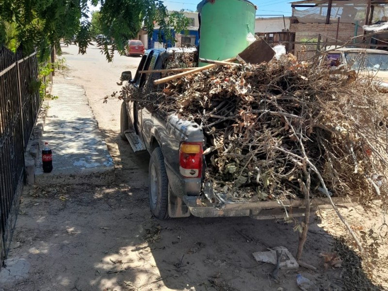 Atiende Ecología Municipal reportes en planteles educativos