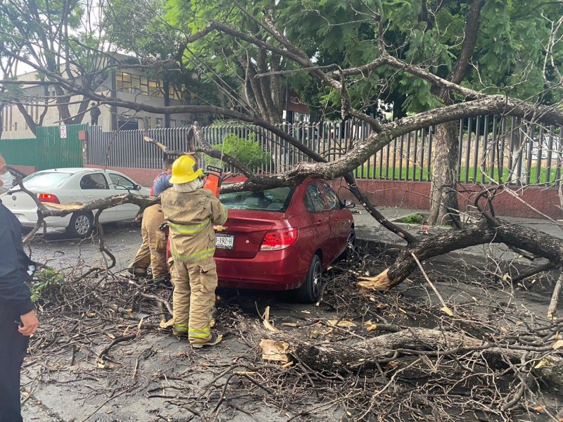 Atiende PC reportes de afectaciones tras lluvia de este jueves