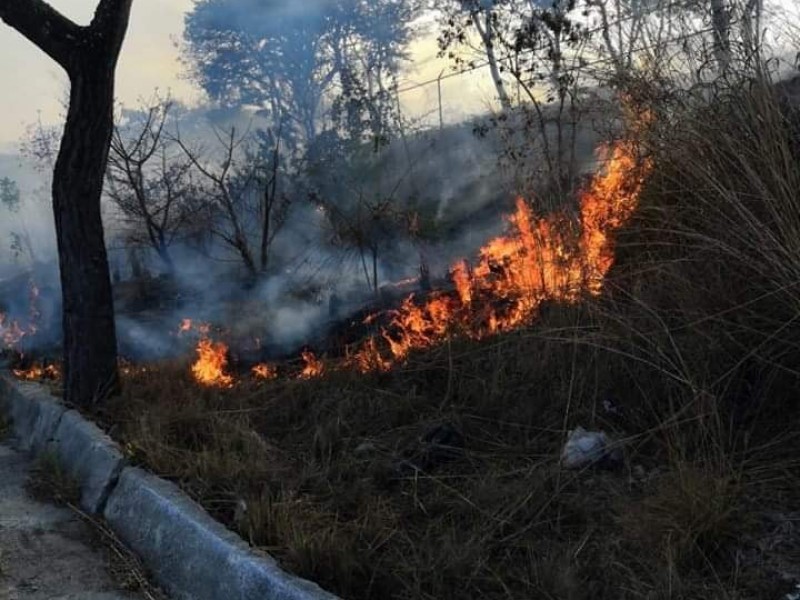 Atiende Protección Civil incendio de pastizales