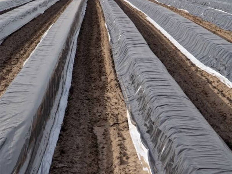 Buscarán atender contaminación por agroplásticos