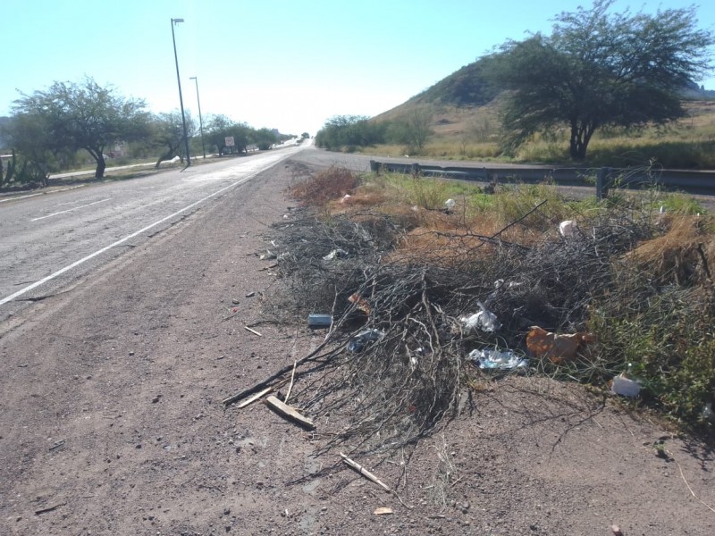 Atiende y mejora Rutas Urbanas imagen en sectores de Guaymas