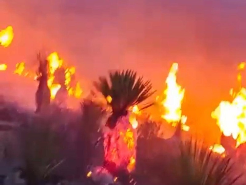 Incendios no paran en Zacatecas; basureros el foco rojo