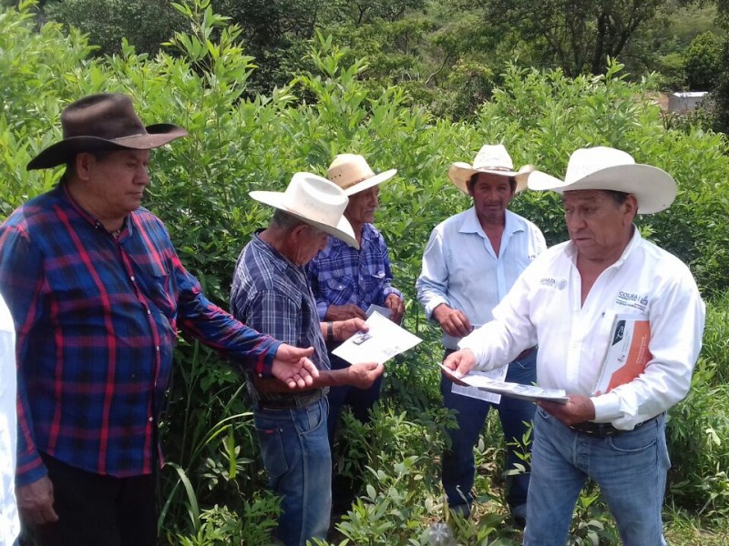 Atienden a pequeños productores por daños en cultivos