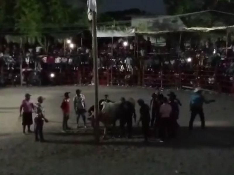 Atienden a personas lesionadas durante corridas de toros en Juchitán