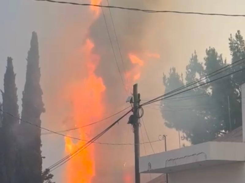 Atienden bomberos incendio en árbol por caída de rayo