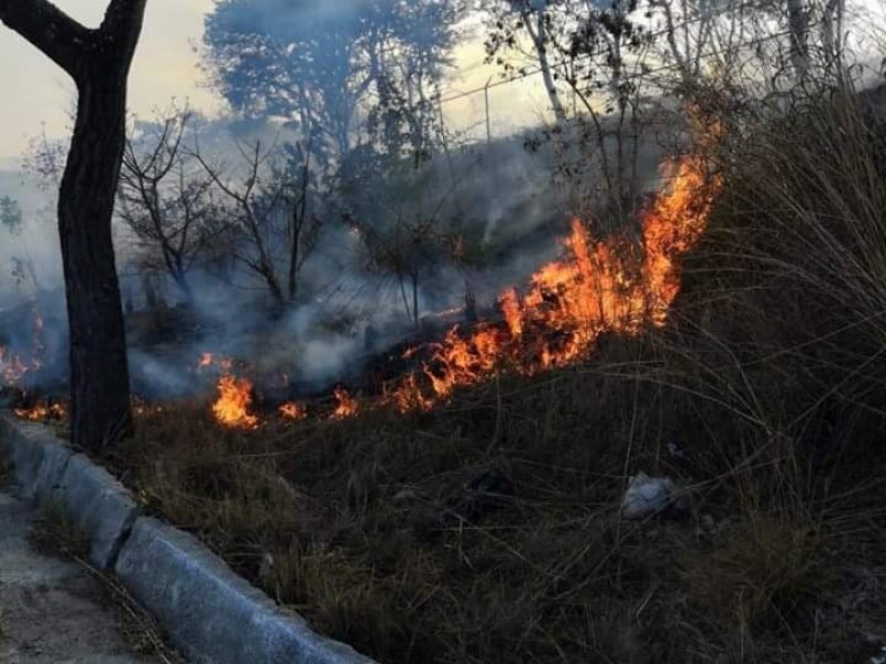 Atienden bomberos municipales incendio en pastizal de Torrentes