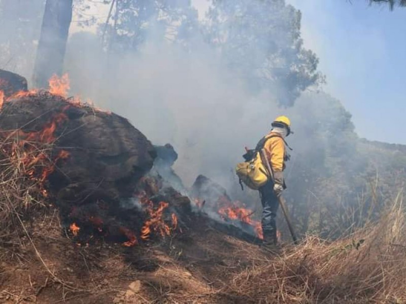 Atienden brigadistas incendio en Cerro de la Cruz, en Uruapan