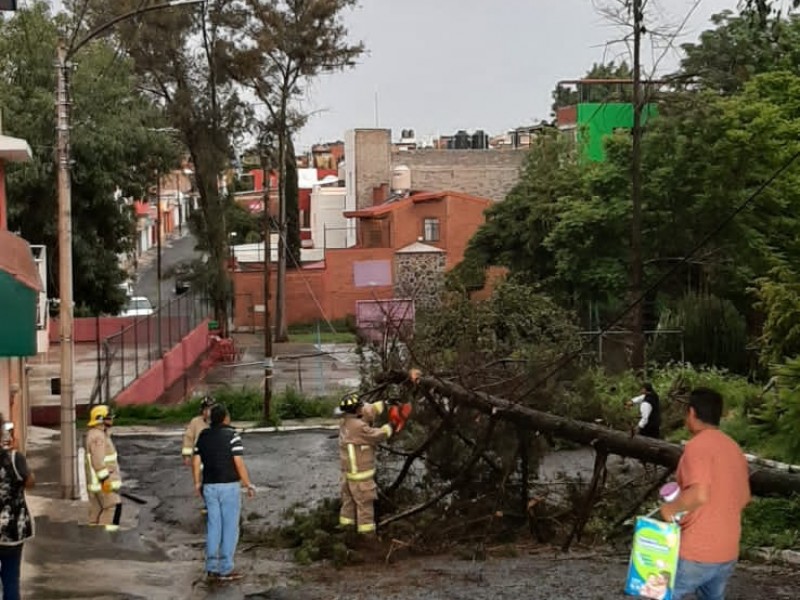 Atienden contingencias por lluvias de esta tarde en Morelia