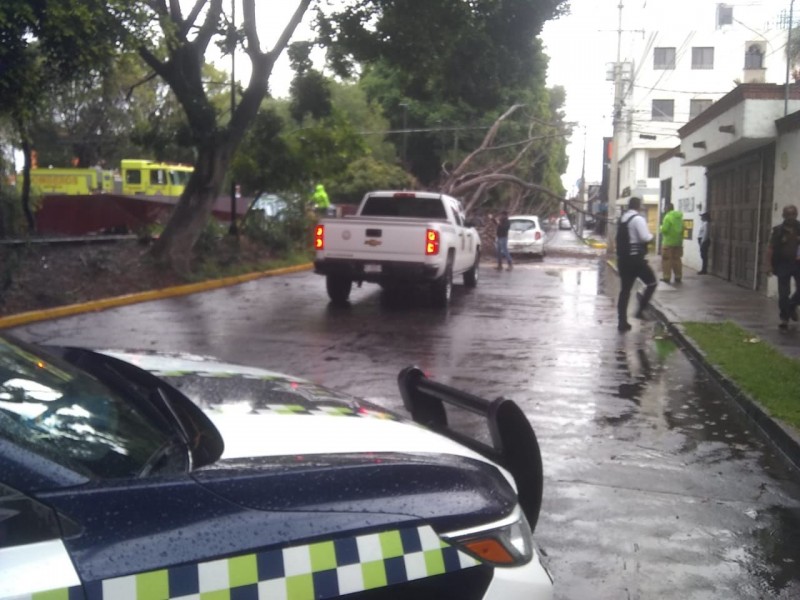 Atienden contingencias por lluvias en Morelia