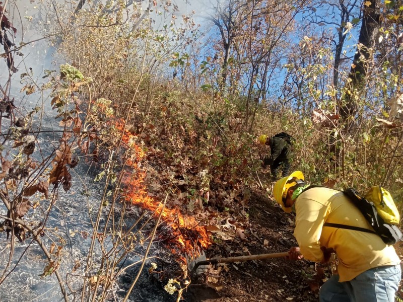 Atienden nuevo incendio forestal en el Quinceo