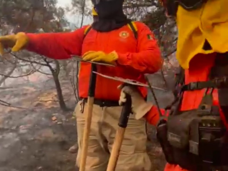 Atienden Protección Civil y diversas autoridades incendio forestal en Ímuris