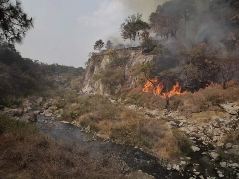 Atienden último frente de incendio en La Primavera