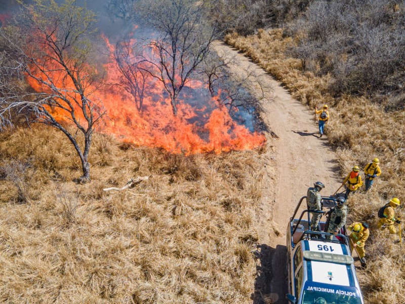 Atienden unidades de emergencia incendio forestal