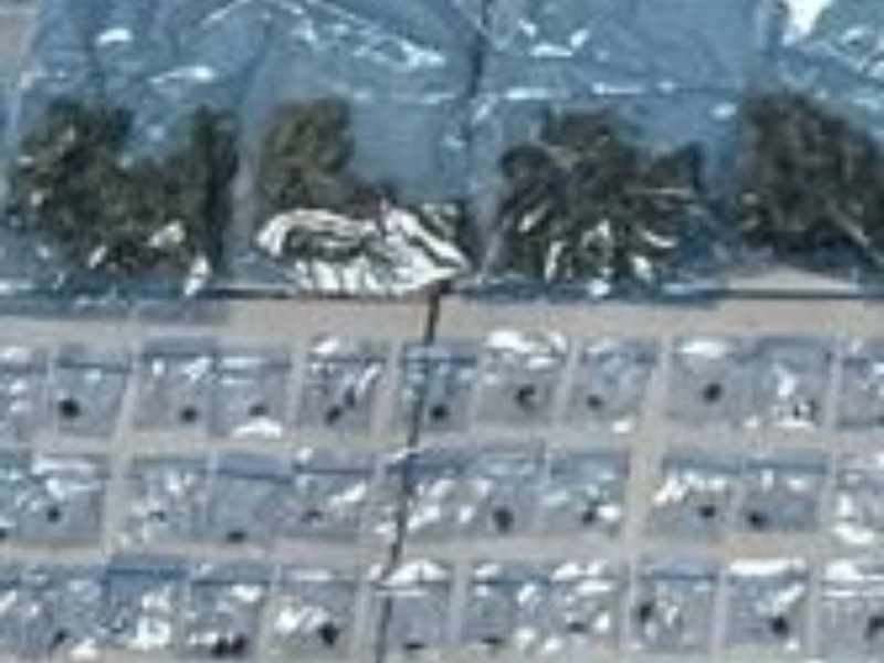 Atrapan a narcomenudista en posesión de más de 600 envoltorios con narcótico