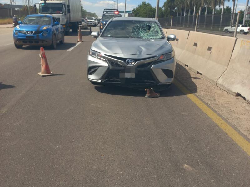 Atropellan a hombre en la México 15 frente a Gabriel Leyva Solano