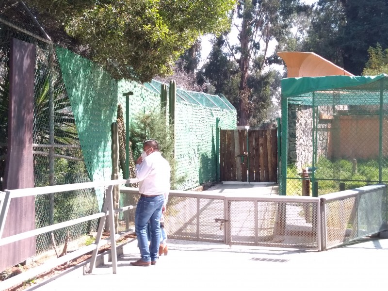 Aumenta aforo de visitantes al Zoológico Zacango