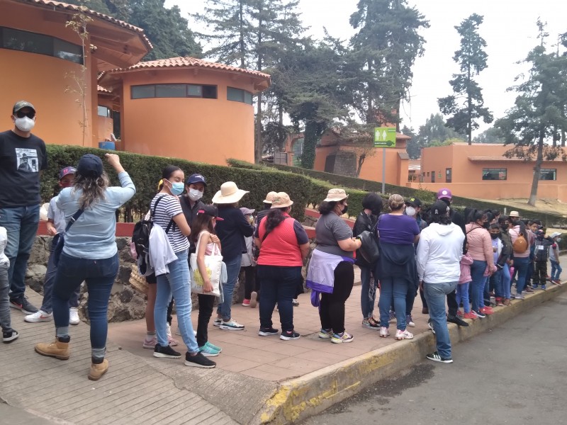 Aumenta aforo de visitantes en el Zoológico Zacango