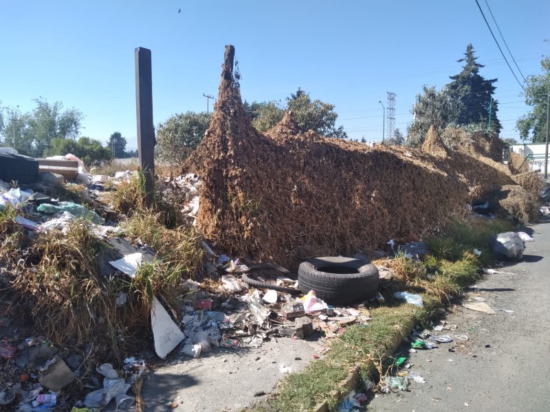 Aumenta basura en baldíos de Toluca