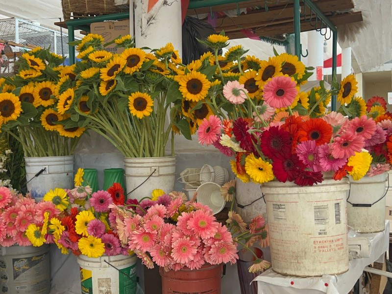 Aumenta demanda y precio de flores por 10 de mayo