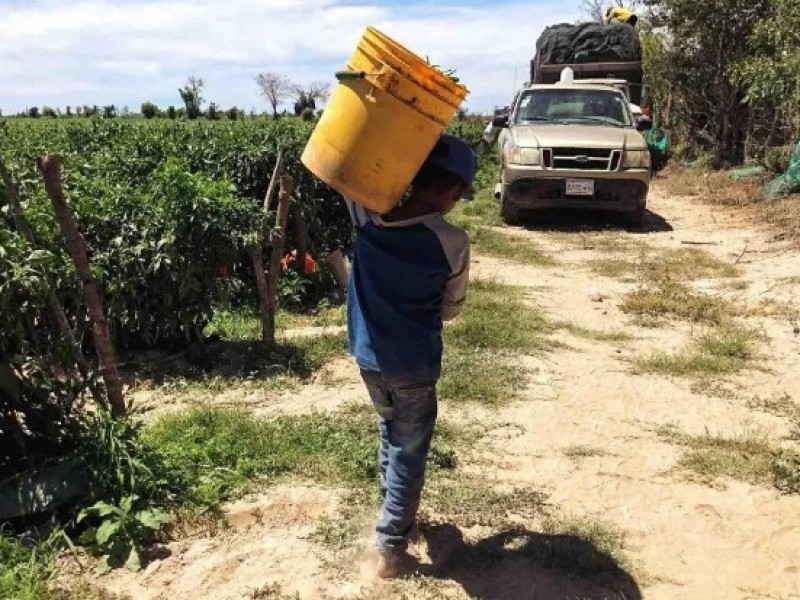 Aumenta el trabajo infantil en Nayarit