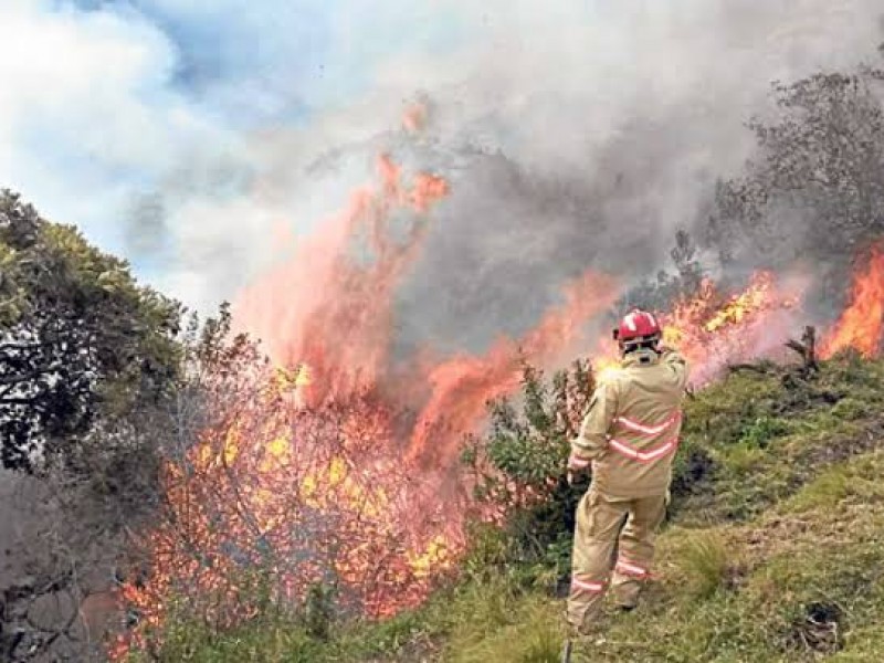 Aumenta incidencia de incendios forestales en Michoacán
