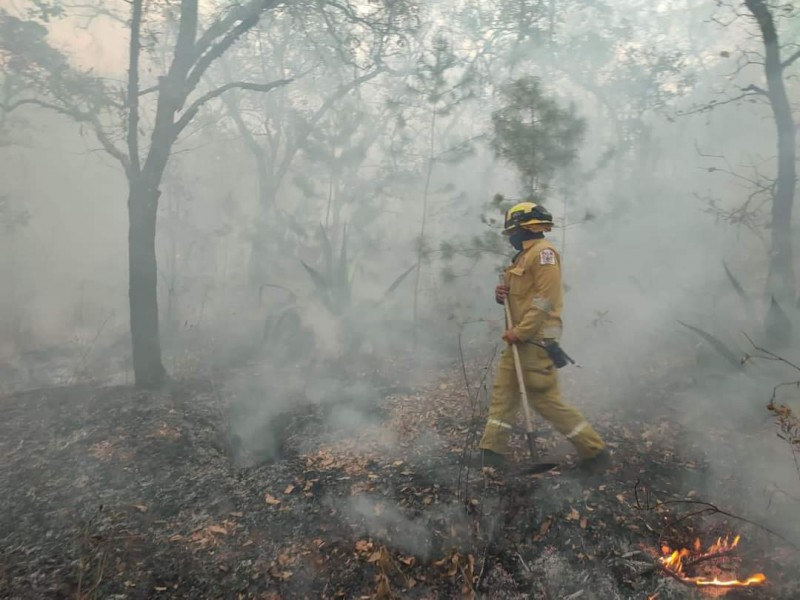 Aumenta incidencia de incendios forestales en zonas cerriles de Tangancícuaro
