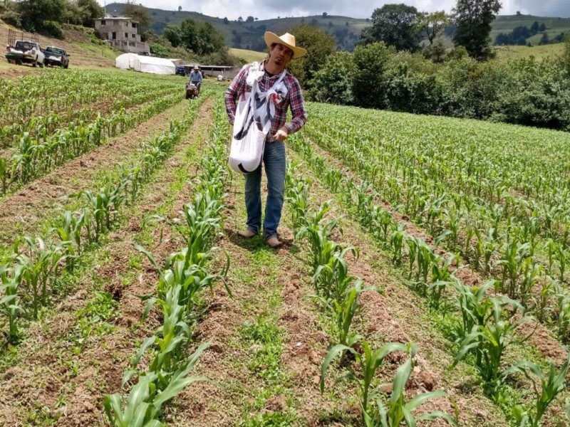 Aumenta un 70% la cartera vencida en el campo nayarita