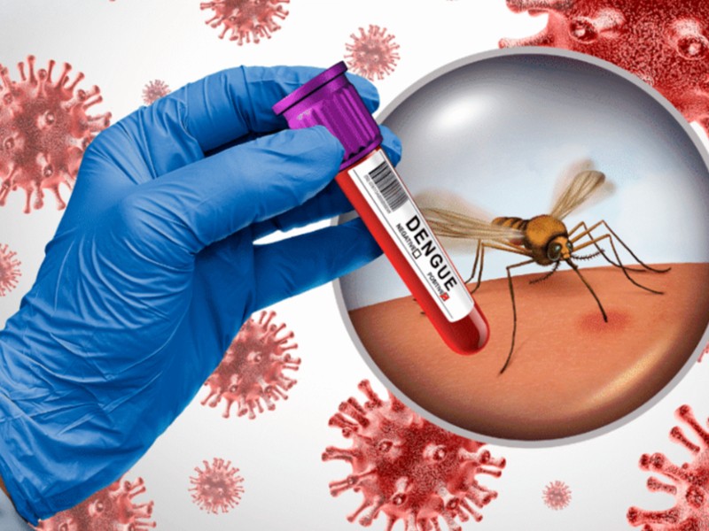 Aumentan a 23 los casos positivos de dengue en Guasave