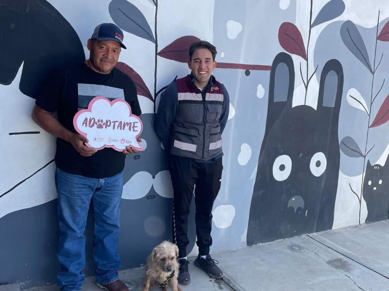 Aumentan adopciones de perros en Guadalupe; seis fueron entregados esta semana