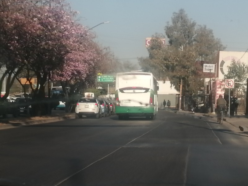 Aumentan camiones en algunas rutas y ofertan más espacios