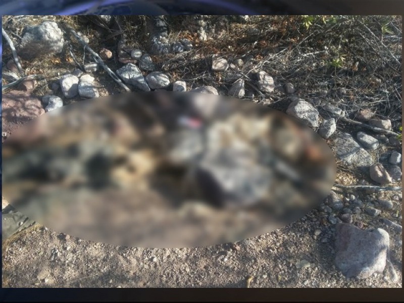 Aumentan desparecidos a 900 en Guaymas-Empalme