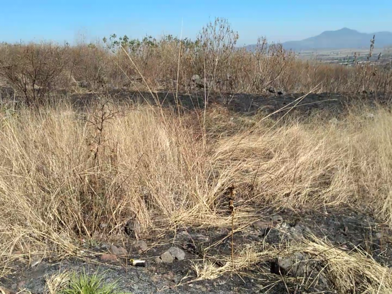 Aumentan en Sahuayo incendios de pastizales