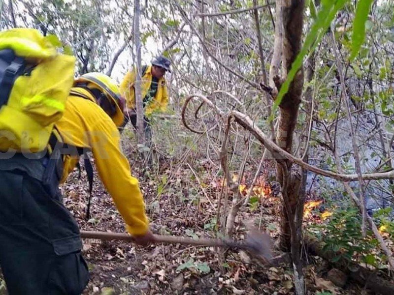 Aumentan hectáreas quemadas en Chiapas