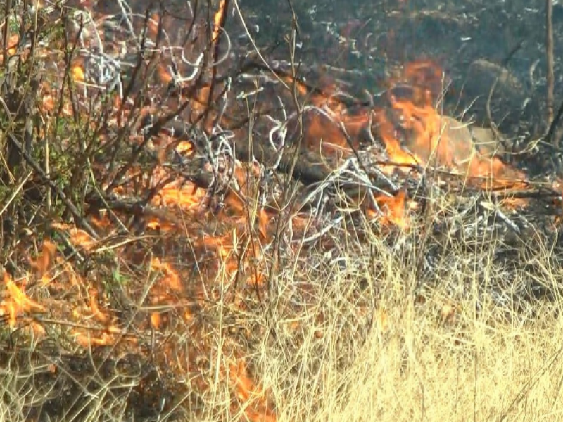 Aumentan incendios de pastizales en Zamora