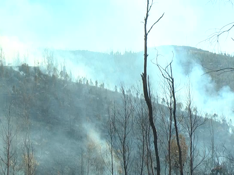 Aumentan incendios en diciembre: Protección Civil