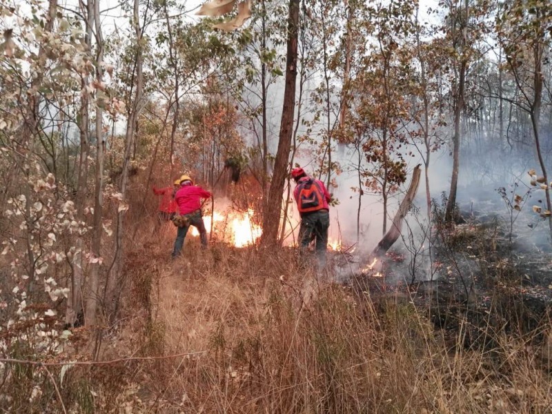 Aumentan incendios en esta temporada