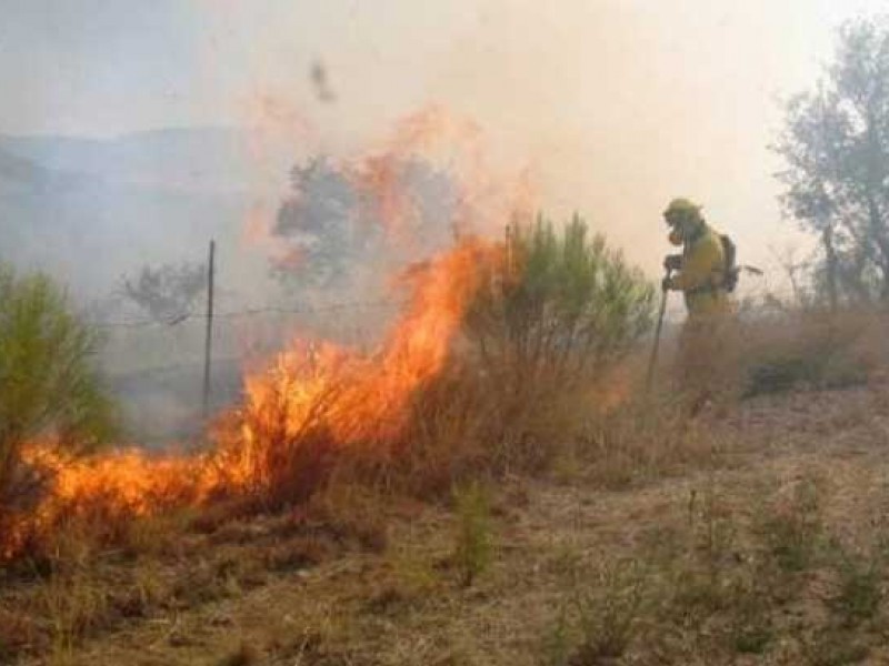 Aumentan incendios forestales en Guaymas