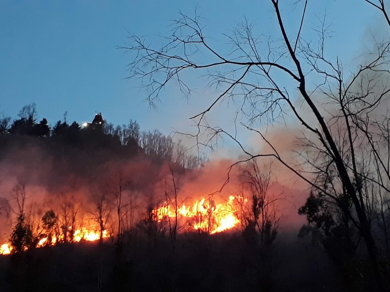 Aumentan incendios forestales en Zacatecas