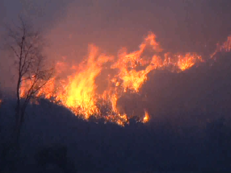 Aumentan incendios forestales un 40%: Protección Civil