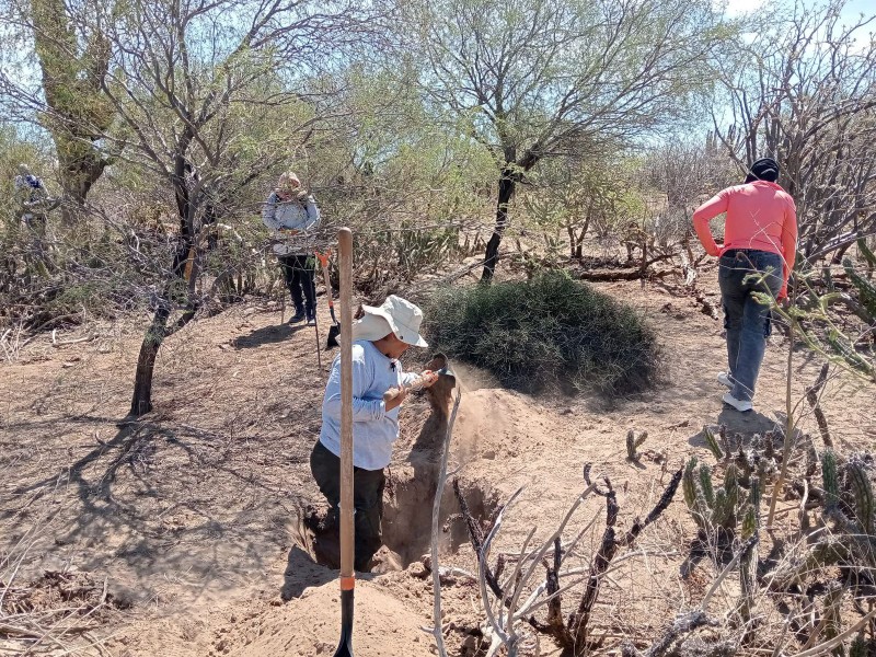 Aumentan las desapariciones en la zona norte de Baja California Sur