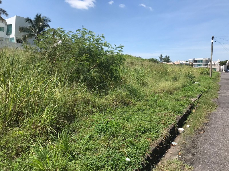 Aumentan los terrenos baldíos en el fraccionamiento Costa de Oro