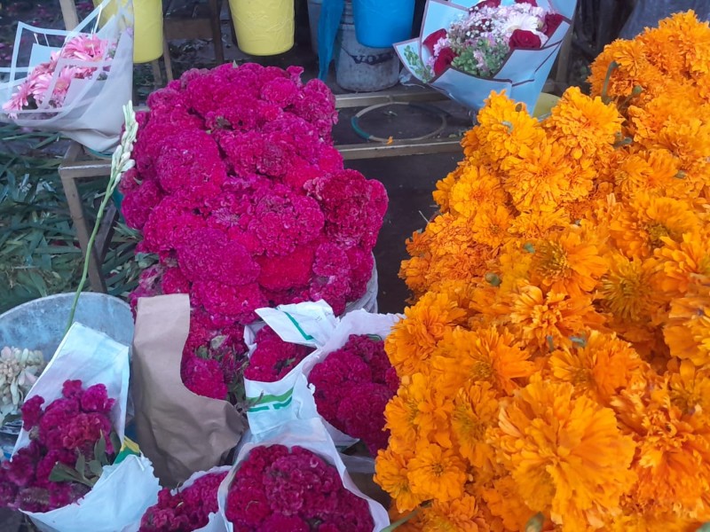 Aumentan precios de flores para el Día de Muerto en Veracruz Aumentan precios de flores para el Día de Muerto en Veracruz