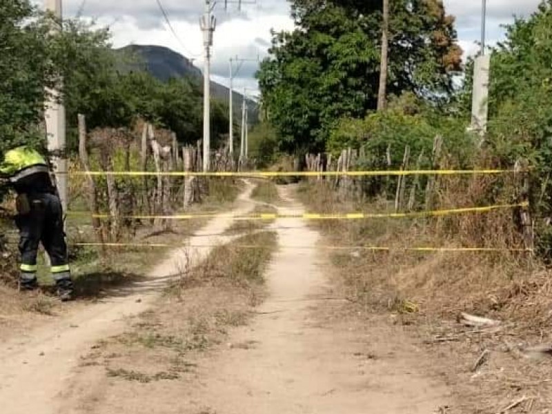 Aumentan reportes de árboles caídos por fuertes vientos en Tehuantepec