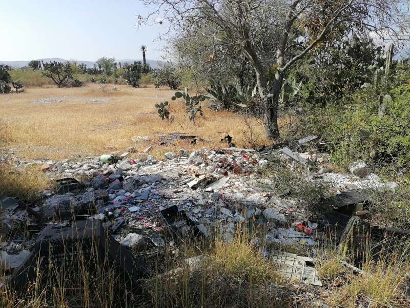 Aumentan tiraderos a cielo abierto: meseta del cerro, van 8