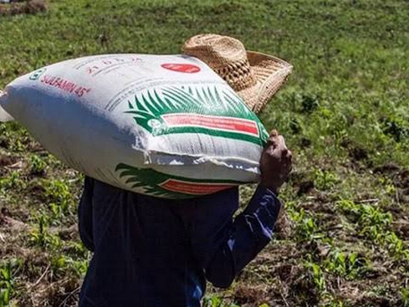 Aumento de costos de producción genera inestabilidad a productores agrícolas