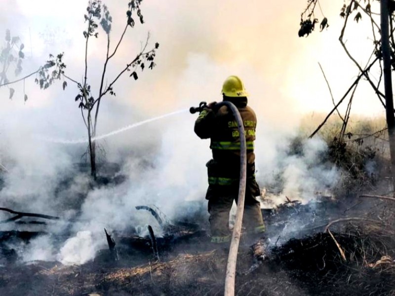 En Zamora, se registran cerca de 100 incendios de pastizales