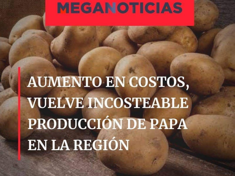 Aumento en costos de producción, golpea economía de pequeños productores