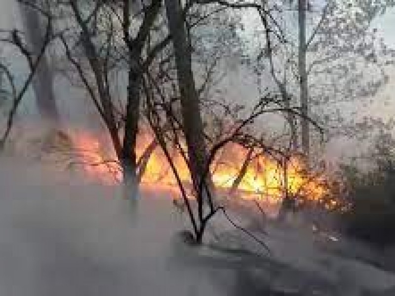 Aún no es temporada y ya van 45 incendios forestales