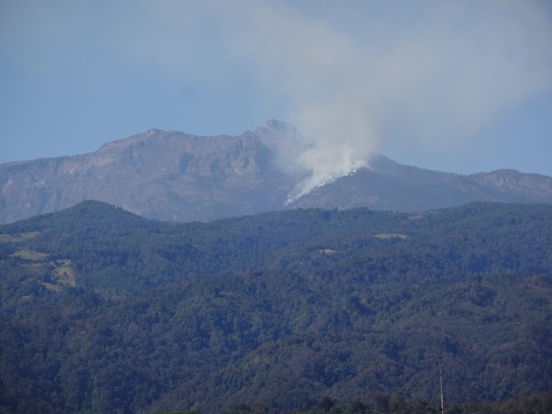 Aún sin controlar incendio en Cofre de Perote